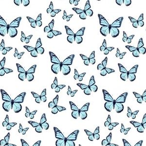 Meet your Posher, Kady